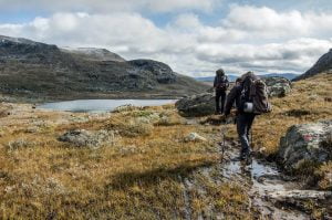 What You Need to Know for a Successful Mountain Trek